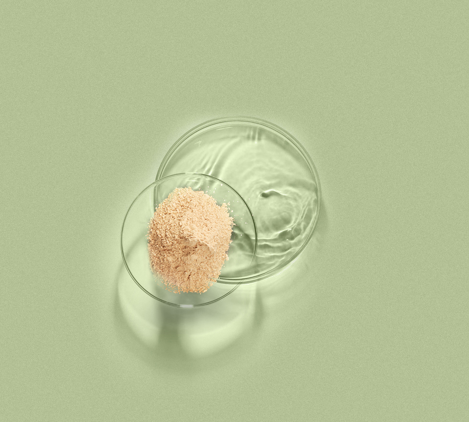 巅峰国际官网-相信品牌力量