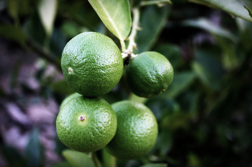 巅峰国际官网-相信品牌力量