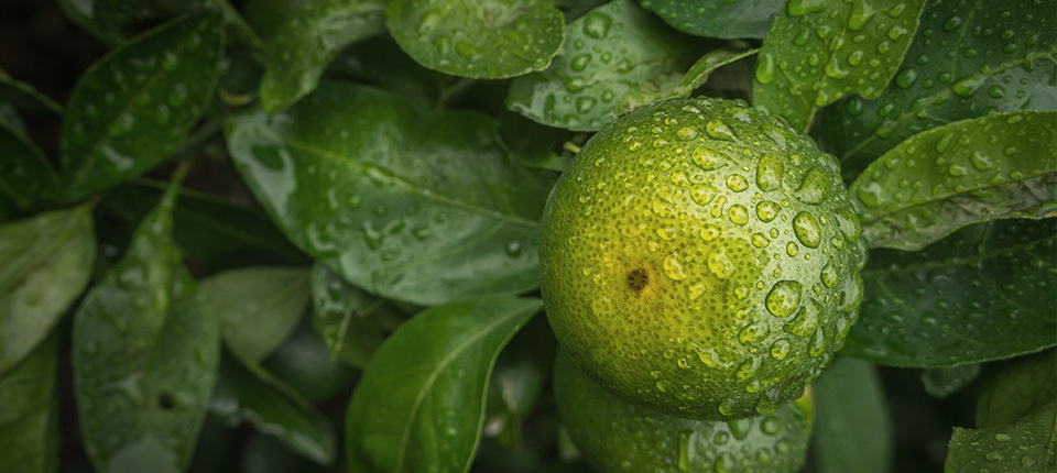 巅峰国际官网-相信品牌力量